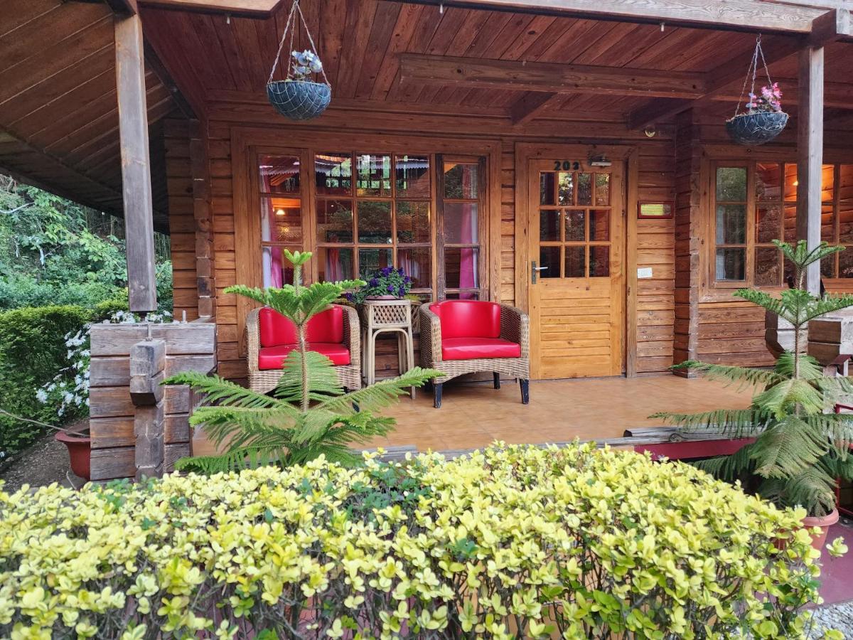 The Chalets Naldehra Shimla Exterior photo
