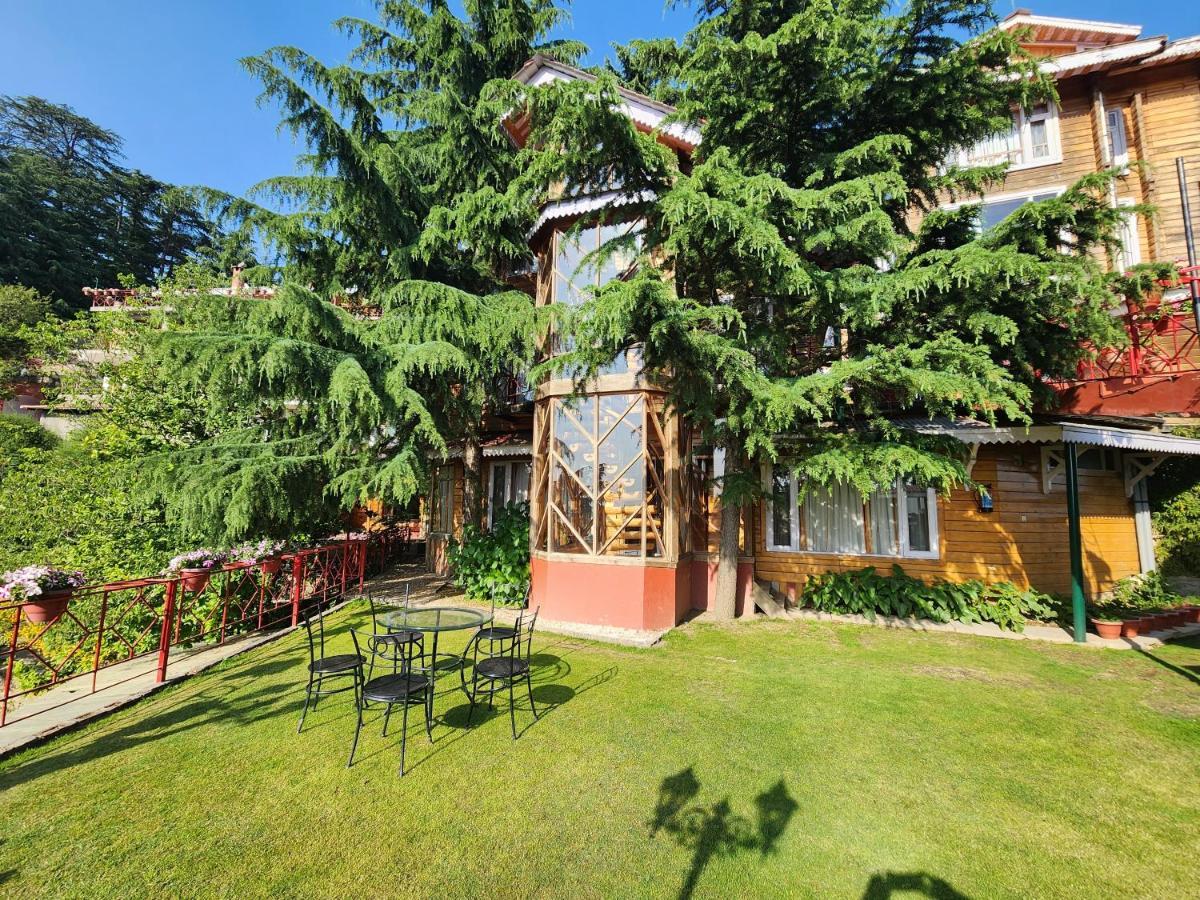 The Chalets Naldehra Shimla Exterior photo