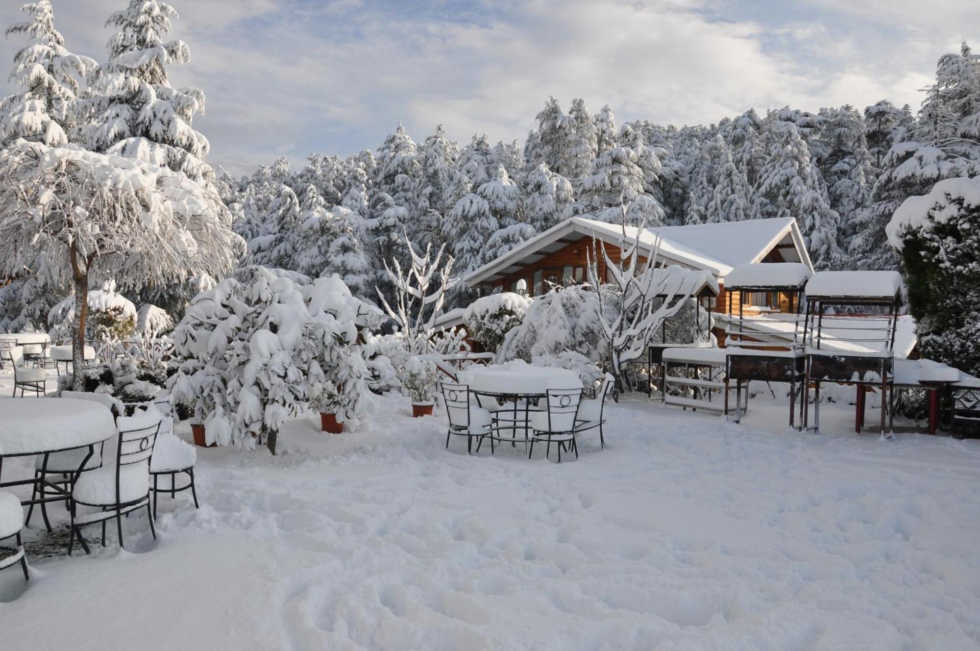 The Chalets Naldehra Shimla Exterior photo