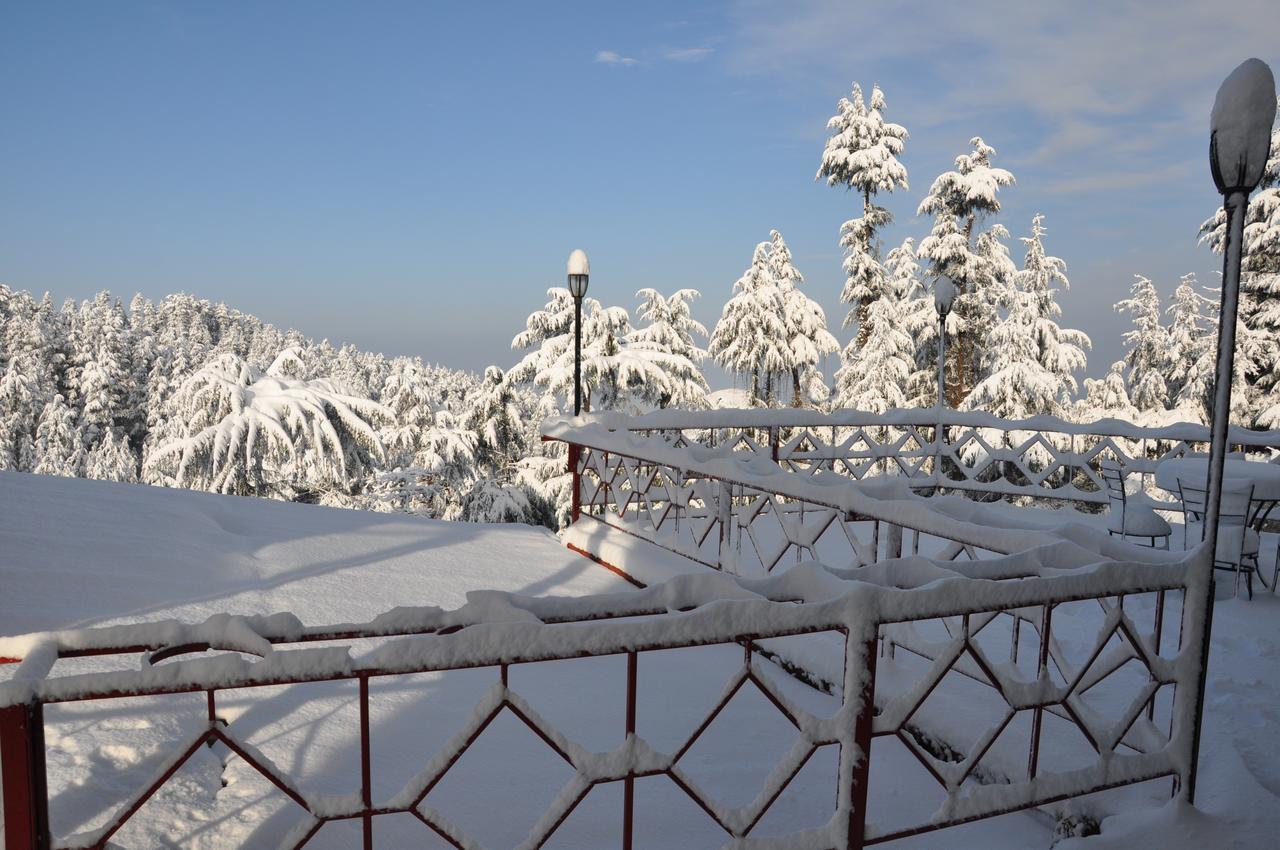 The Chalets Naldehra Shimla Exterior photo
