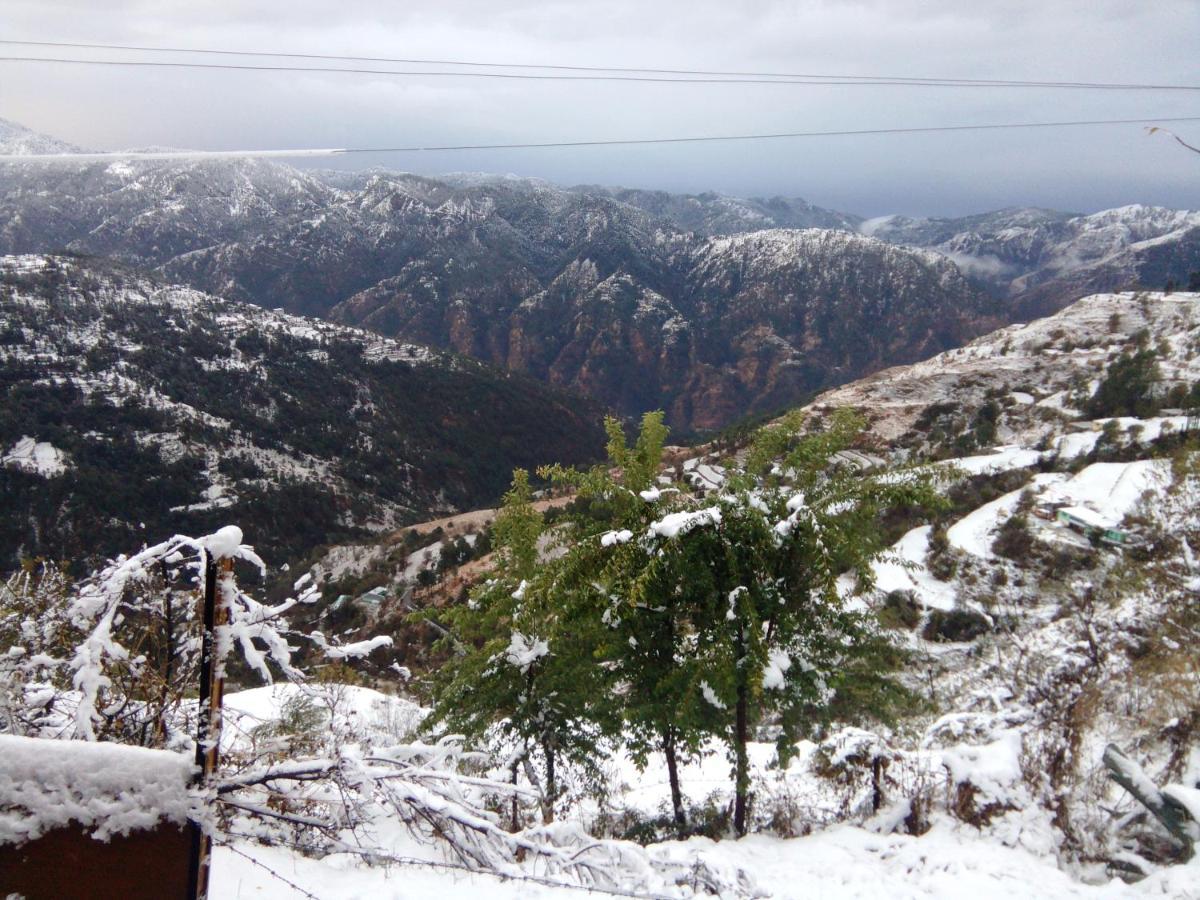 The Chalets Naldehra Shimla Exterior photo