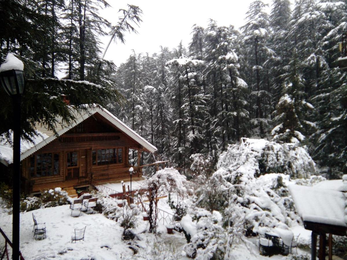 The Chalets Naldehra Shimla Exterior photo